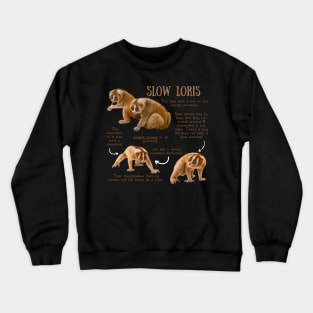 Slow Loris - Animal Facts Crewneck Sweatshirt